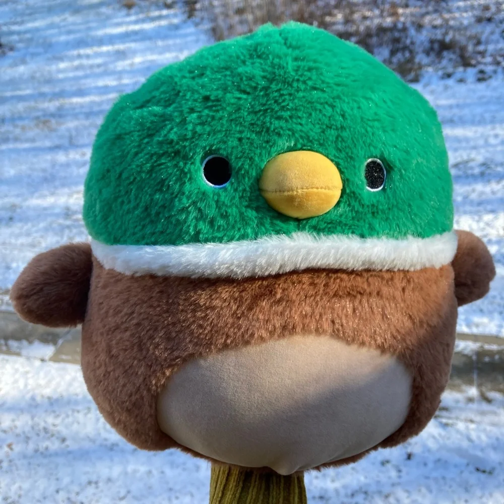 Squishmallows Fuzzamallows Avery Mallard Duck 12